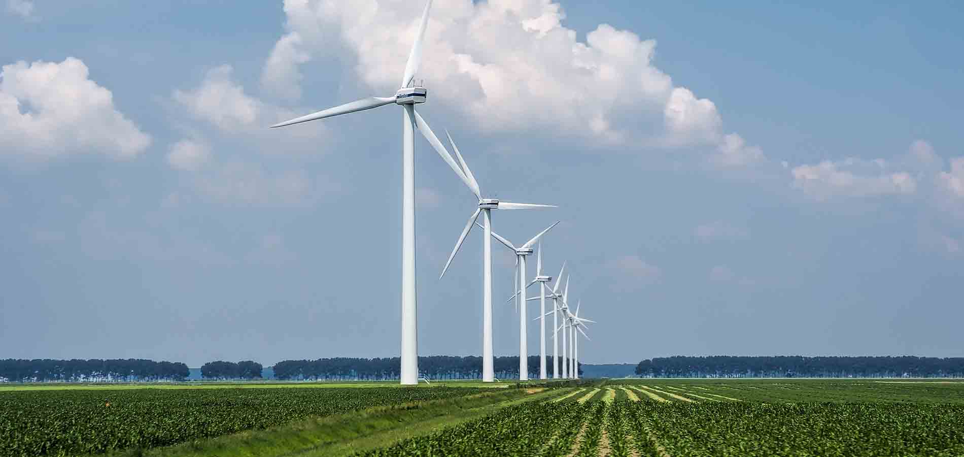 Medidas de seguridad en turbinas de energía eólica